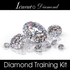 1carat™ DIAMOND BUSINESS LICENSE