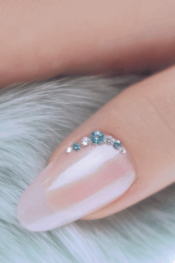 Zirconia Ultimate Color & Shape Bundle - Image 3