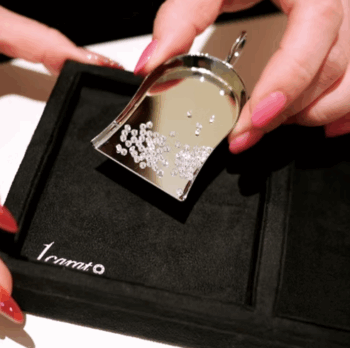 1carat™ DIAMOND BUSINESS LICENSE - Image 7