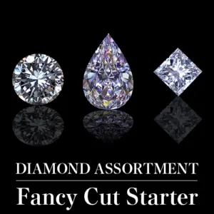 Bundle E: "Fancy Cut Starter"
